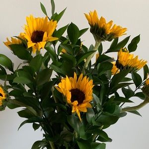 Meet your Posher, Kajeen